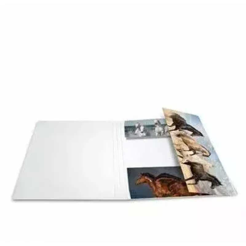 Folder Cardboard HERMA 19217 A3 Multicolour