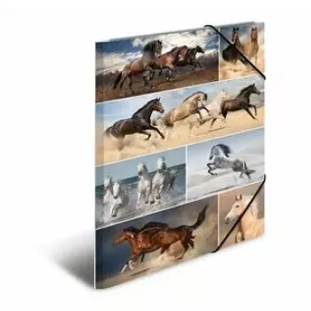 Folder Cardboard HERMA 19217 A3 Multicolour