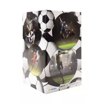 Pen/Pencil Holder HERMA Stifteköcher Fussball 19732
