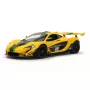 On-road racing car Jamara McLaren P1 GTR