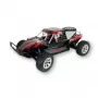 Buggy Amewi Breaker Radio-Controlled RC model 1:10