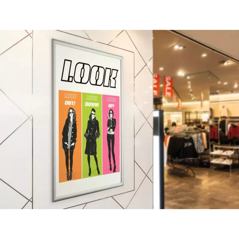 Wall Frame Durable 500923 660 x 900 mm Rectangle Silver Aluminium