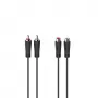 Hama 00205095 audio cable 5 m 2 x RCA Black
