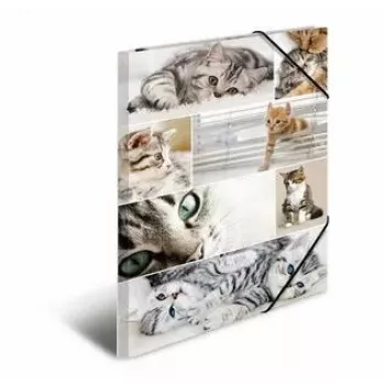 Folder Cardboard HERMA 19219 A3 Multicolour