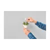 Utility hook TESA 77780 Indoor White 2 pcs