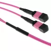 ACT 50 meter Multimode 50/125 OM4(OM3) polarity B fiber trunk cable with 2 MTP/MPO female connectors each side