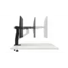 Monitor Mount DELL MSA20 96.5 cm Desk Black Height Adjustable
