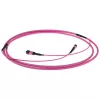 ACT 30 meter Multimode 50/125 OM4(OM3) polarity A fiber trunk cable with MTP/MPO female connectors
