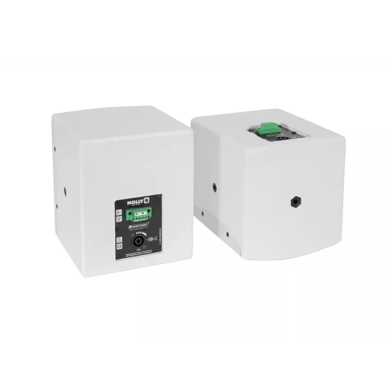Full range speaker Omnitronic MOLLY-6 White Wired 130 W