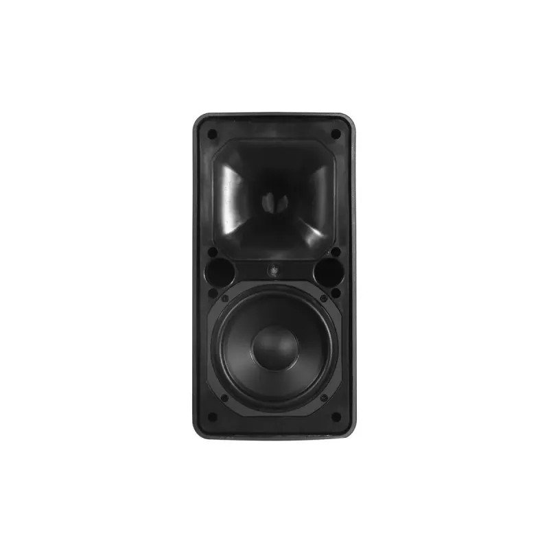 2-way Loudspeaker Omnitronic 11036954 80 W