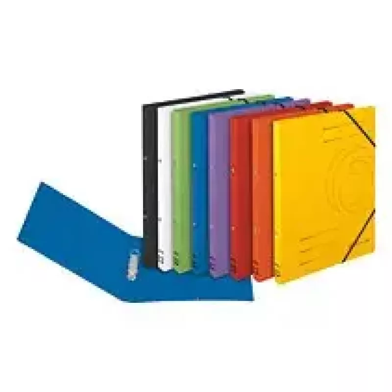 Folder Cardboard Violet A4 Herlitz 11255452