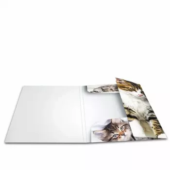 Folder Polypropylene (PP) HERMA 7138 A4 Multicolour