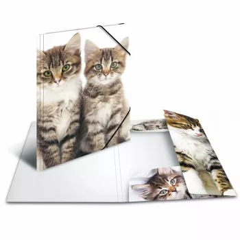 Folder Polypropylene (PP) HERMA 7138 A4 Multicolour
