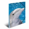 Folder Polypropylene (PP) HERMA 7141 Multicolour A4