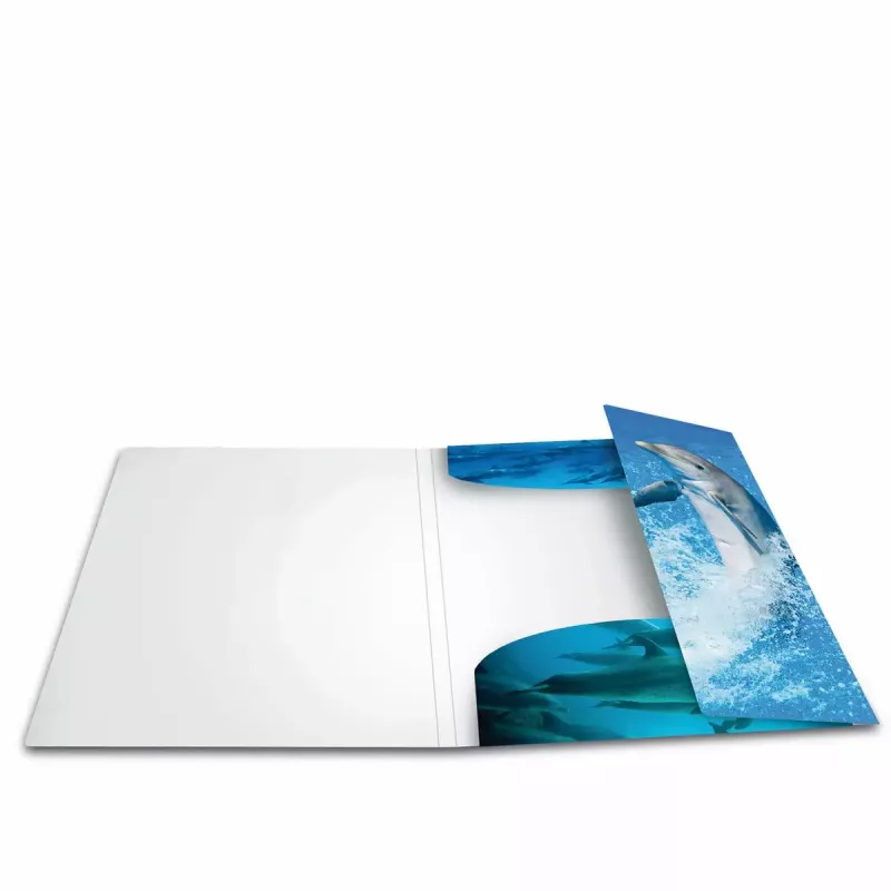 Folder Polypropylene (PP) HERMA 7141 Multicolour A4