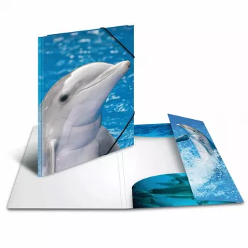 Folder Polypropylene (PP) HERMA 7141 Multicolour A4