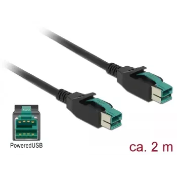 Power cable DeLOCK 85493 2 m PoweredUSB