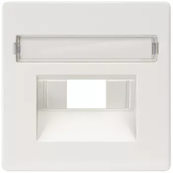 Siemens 5TG2546 wall plate/switch cover