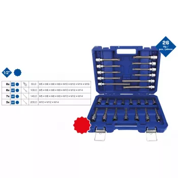 Socket set Brilliant Tools BT022026