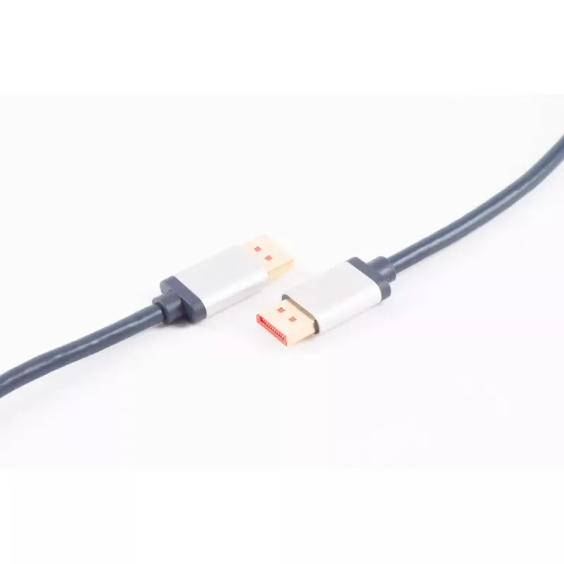 DisplayPort cable ShiverPeaks SP03-20035 2 m Blue