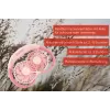 Unold Neck Fan Breezy Pink, Pink, 2 fan(s), 8 h, Neck fan, White, 1 pc(s)