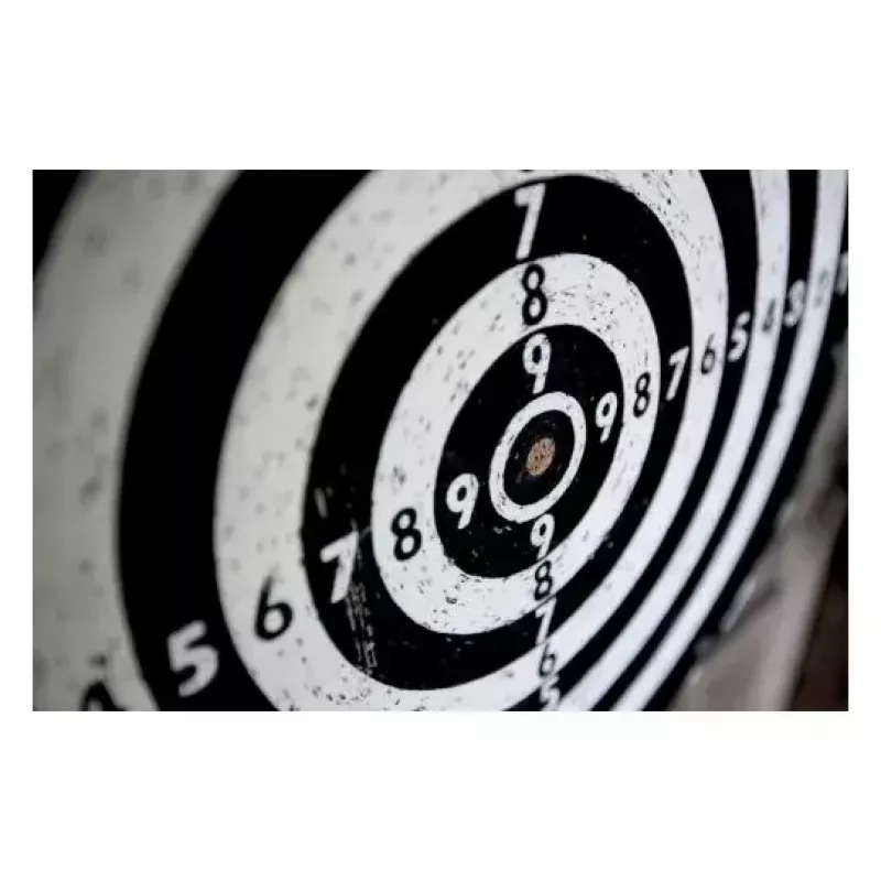 Target patch Avery 3521 shooting sports gun accessory