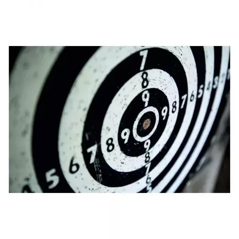 Target patch Avery 3522