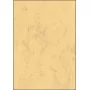 Art Paper Sheets Sigel DP553 50 Sheets Beige 200 g/m²