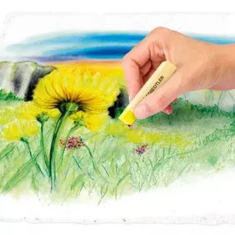 Dry Pastel Soft Staedtler 2430 Multicolour 24 pcs