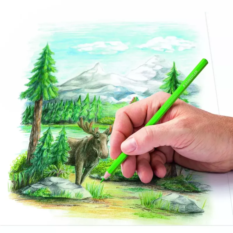 Colored Pencils Staedtler 146C Multicolour 24 pc(s)