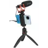 Microphone Boya BY-BM2040