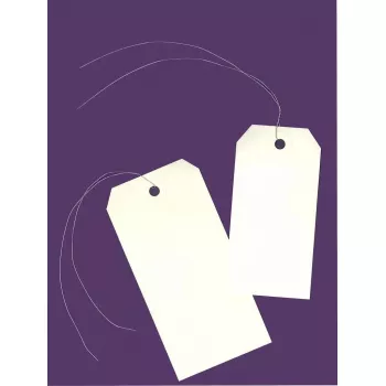 Avery 75-400 non-adhesive label 1000 pcs Cream Rectangle 160 g/m²
