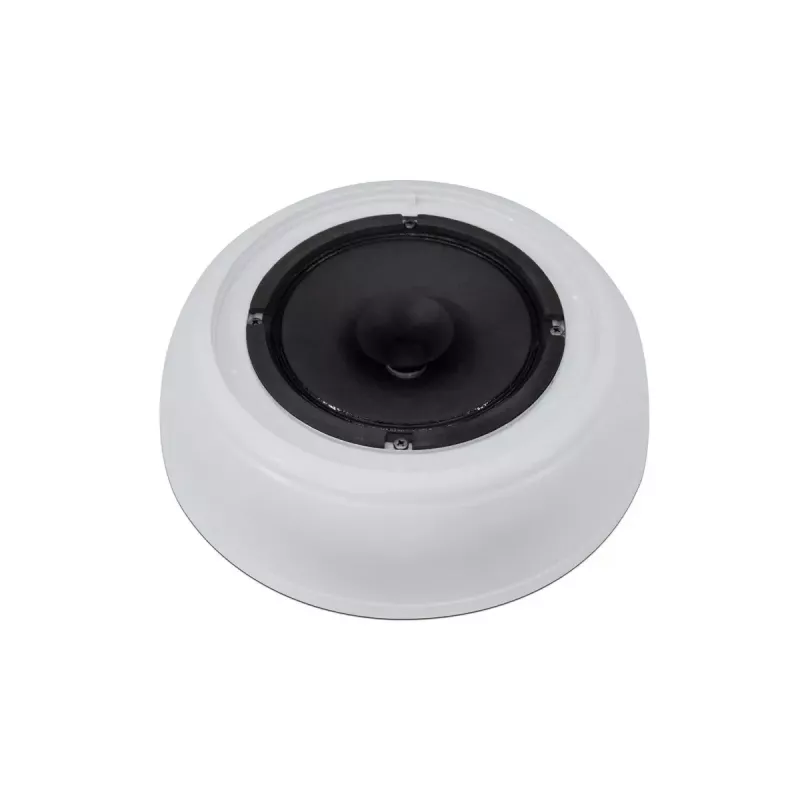 Full range loudspeaker Omnitronic 80710442 White Wired 10 W