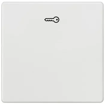 Siemens 5TG6208 wall plate/switch cover Multicolour