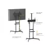 TV Trolley EQUIP 37 inch–70 inch Economy for 37–70 inch screens, 70 kg capacity, VESA 100x100–600x400, height 1337–1430 mm, tilt -10°–5°, black