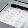 Self-adhesive label Avery L7782-25 Rounded rectangle