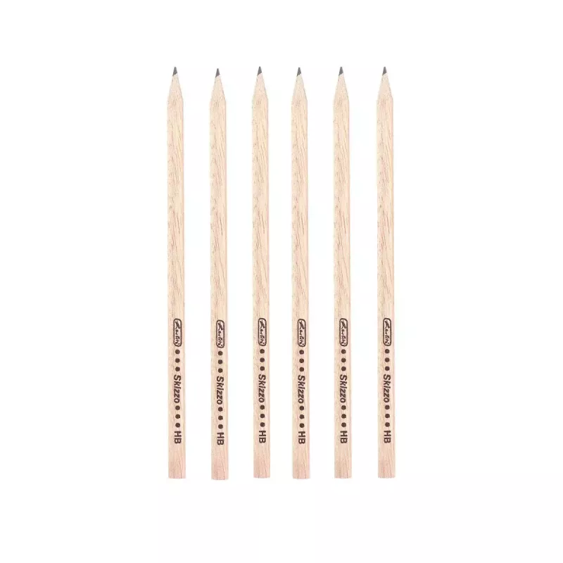 Graphite Pencil Herlitz 8670564 12 pcs