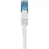 Networking Cable Renkforce RF-3829272 20m Cat6a S/FTP