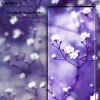 Tempered glass screen protector Kapsolo for iPhone 13 / iPhone 14 Max — curved 9H, fits up to 15.5 cm (6.1 inch)