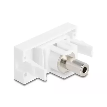 Socket outlet DeLOCK 90848 2 x 3.5mm Male White
