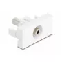 Socket outlet DeLOCK 90848 2 x 3.5mm Male White