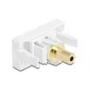 Socket outlet DeLOCK 90843 2 x 3.5mm cable connector White