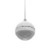 2-way Loudspeaker Omnitronic 80710429