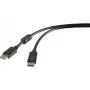 DisplayPort cable Renkforce RF-4212204 3 m Black