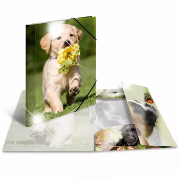 Conventional file folder HERMA 19327