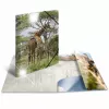 Conventional file folder HERMA 19332