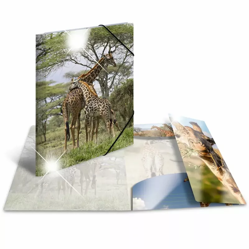 Conventional file folder HERMA 19332