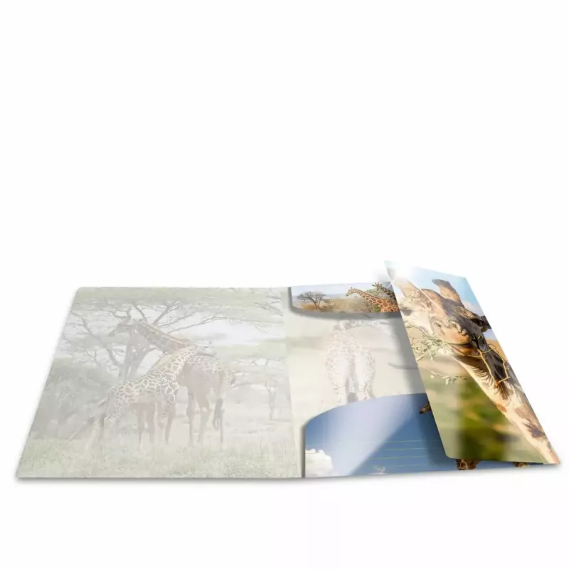 Conventional file folder HERMA 19332