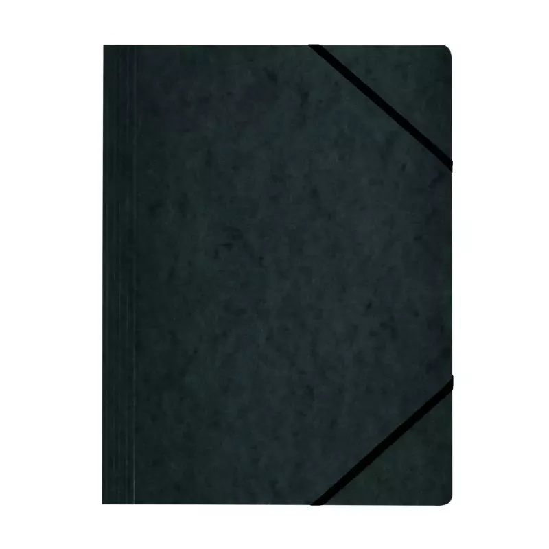 Folder Cardboard Assorted colours A4 Herlitz 11166816