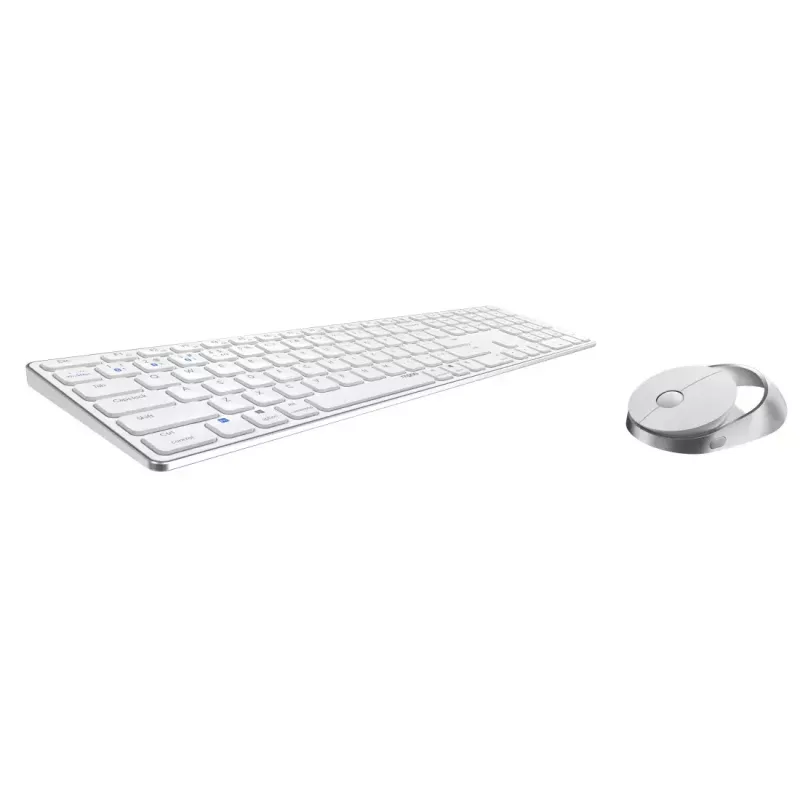 Rapoo 9850M Keyboard Mouse included Home RF Wireless Bluetooth QWERTZ German White